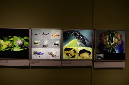 Wasp_exhibition__DSC3447